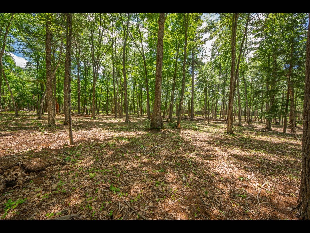 Clearwater Lake Property 157-159 Clearwater Lake Tr Photo 38