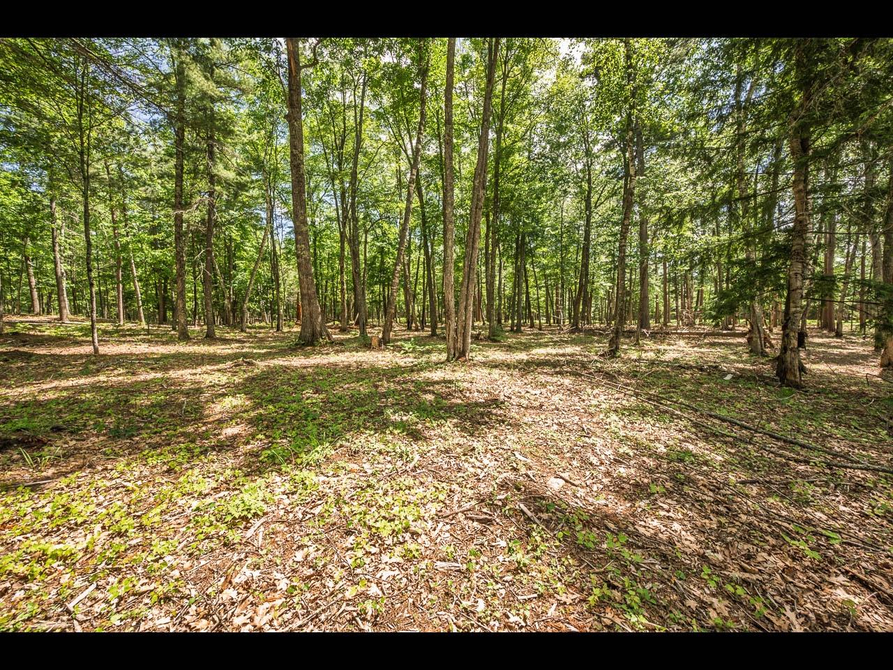 Clearwater Lake Property 157-159 Clearwater Lake Tr Photo 40