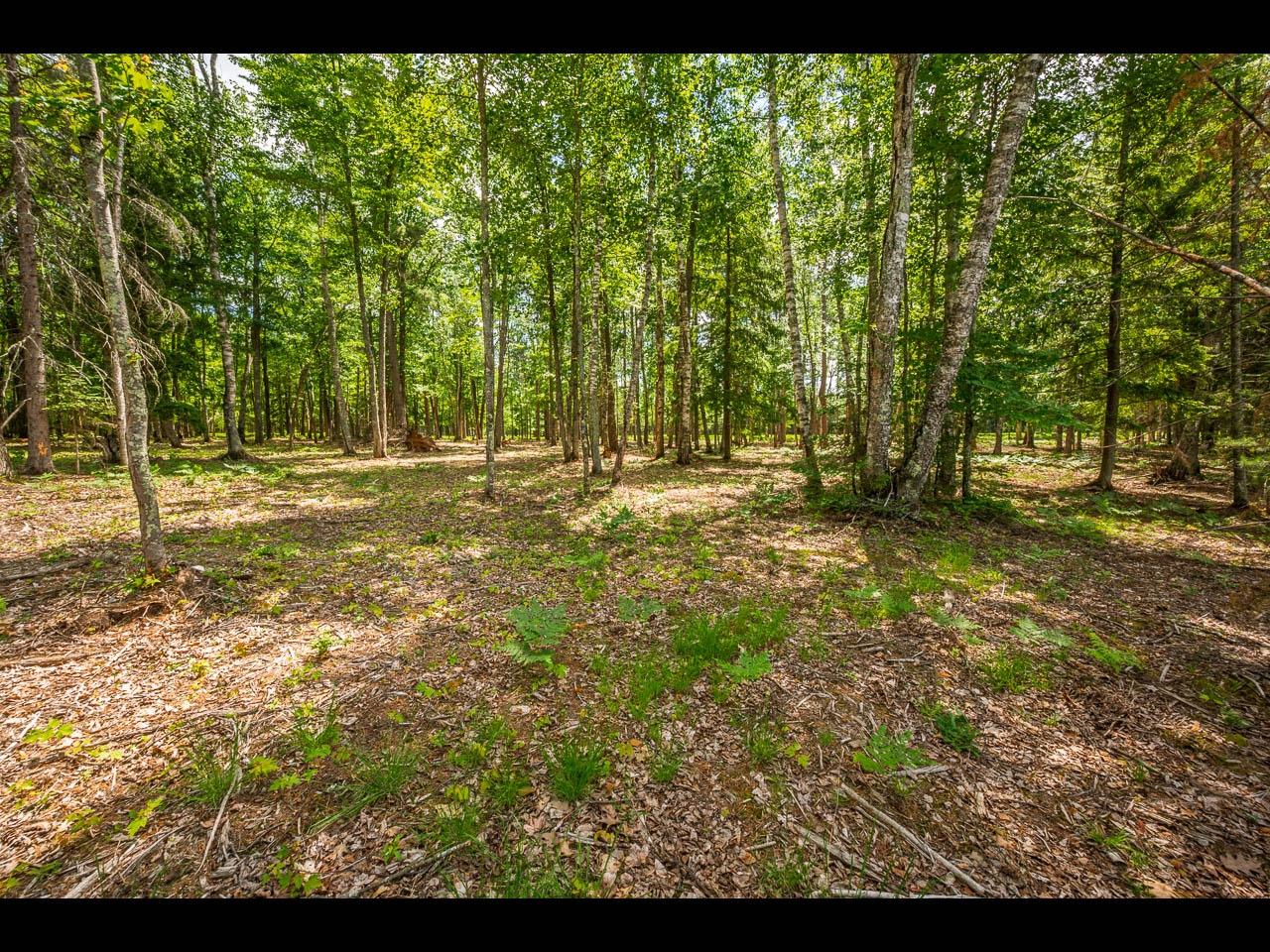 Clearwater Lake Property 157-159 Clearwater Lake Tr Photo 49