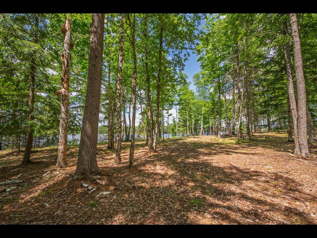 Clearwater Lake Property 157-159 Clearwater Lake Tr Photo 53