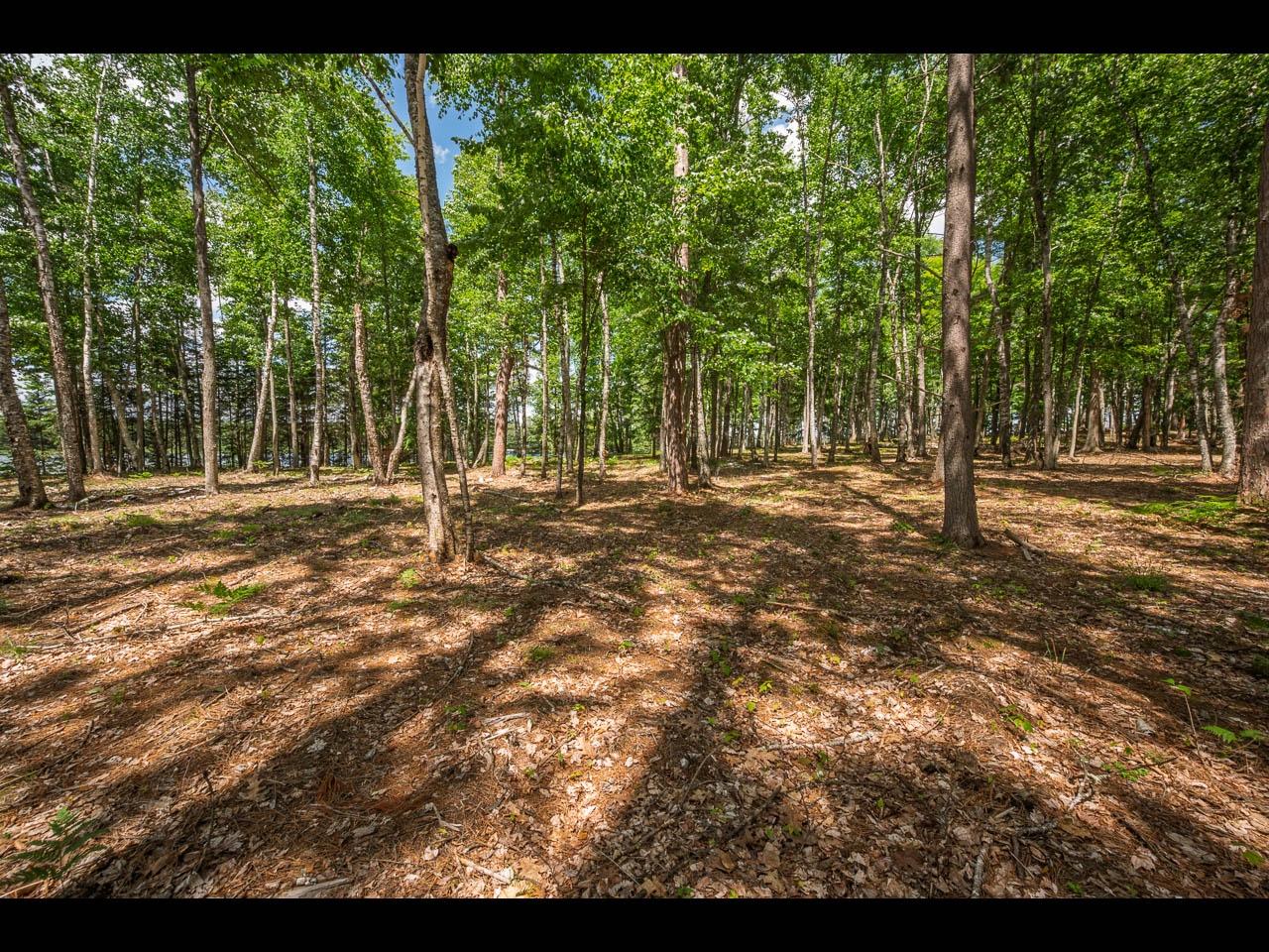 Clearwater Lake Property 157-159 Clearwater Lake Tr Photo 55