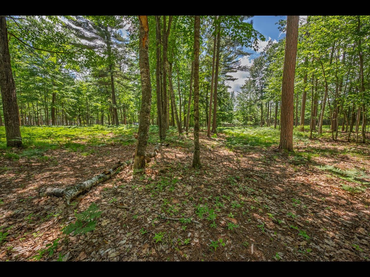 Clearwater Lake Property 157-159 Clearwater Lake Tr Photo 8