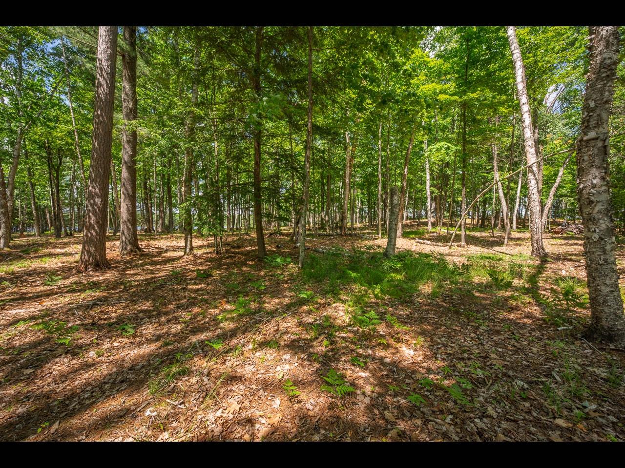Clearwater Lake Property 157-159 Clearwater Lake Tr Photo 9