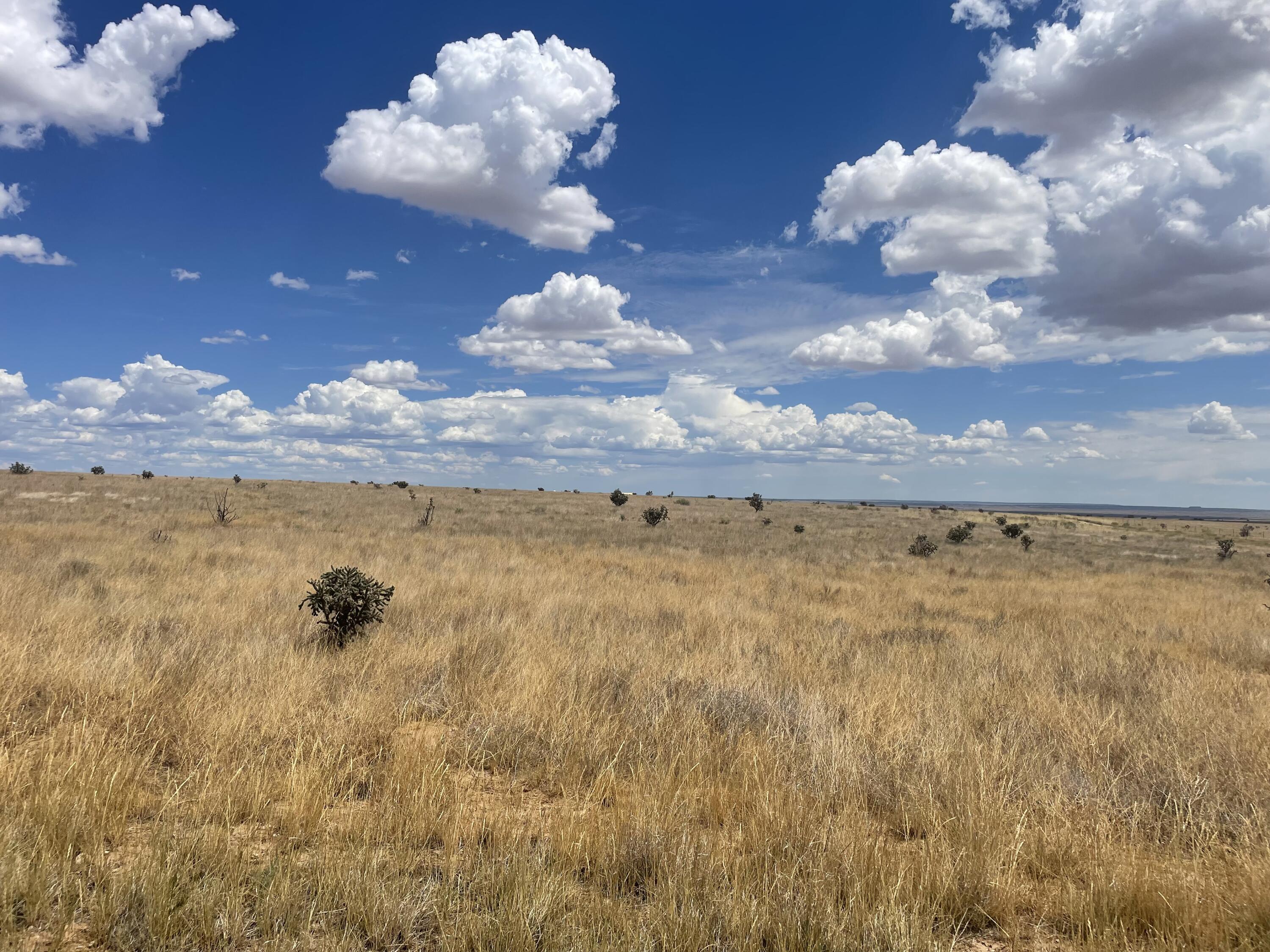 104 N Weimer Road Edgewood, NM 87015