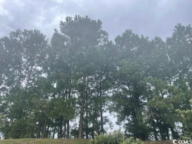 TBD Della Rd. Longs, SC 29568