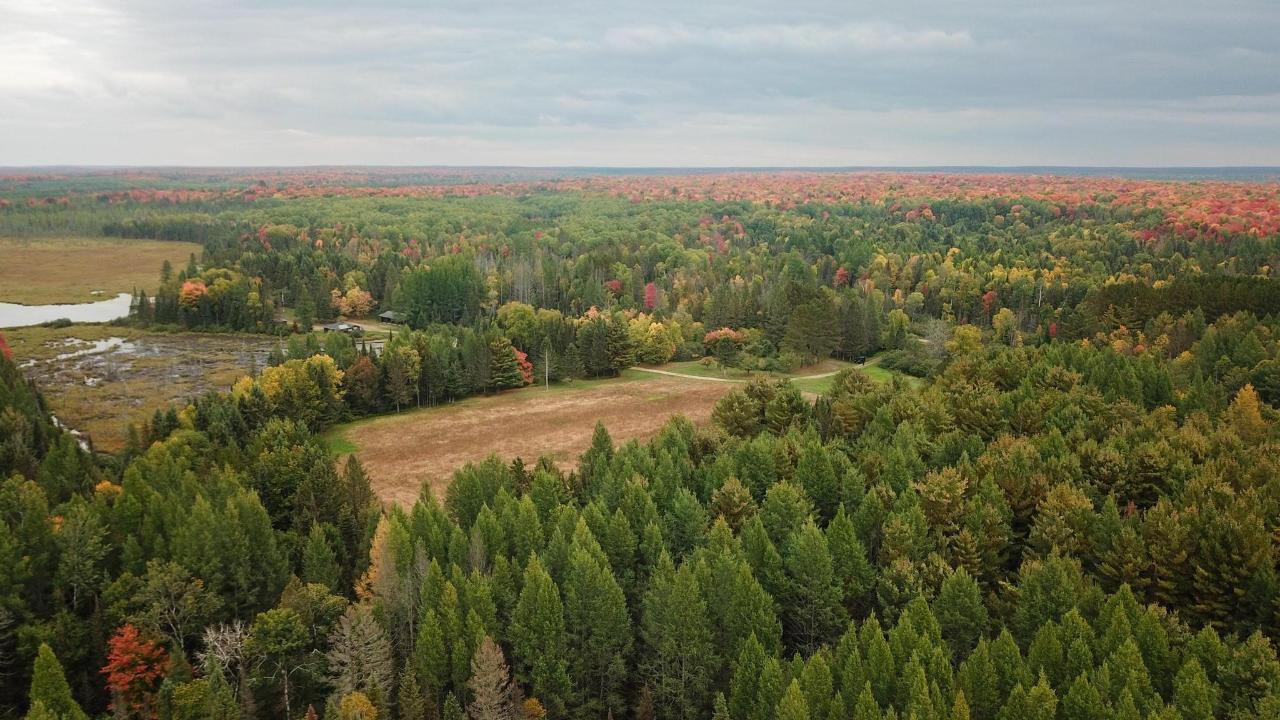 Undocumented Lake Property 9115 Cardinal Ln Photo 22