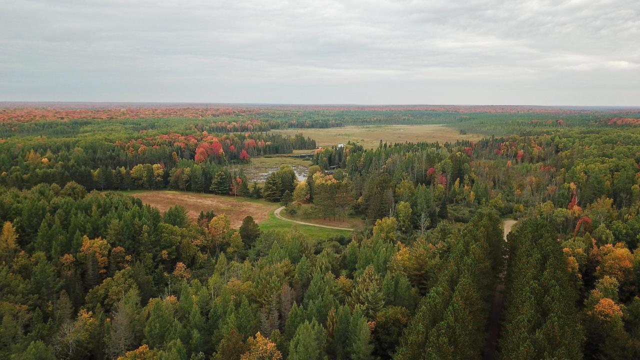 Undocumented Lake Property 9115 Cardinal Ln Photo 23