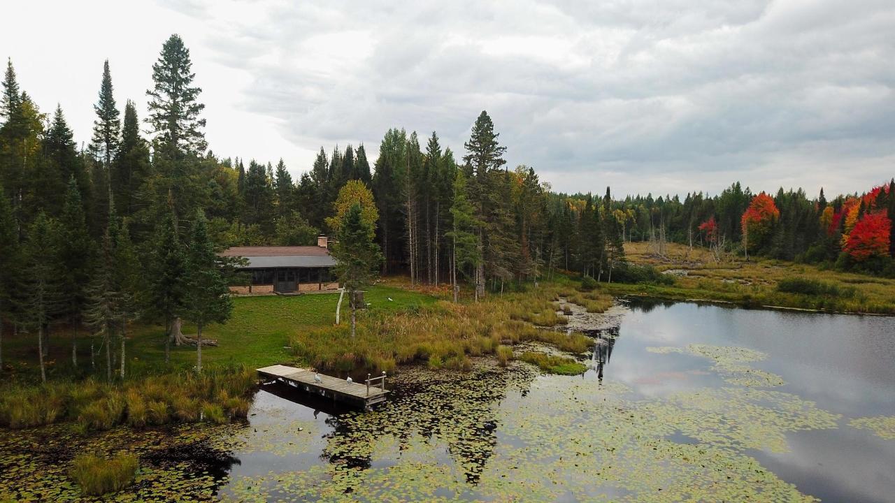 Undocumented Lake Property 9115 Cardinal Ln Photo 25