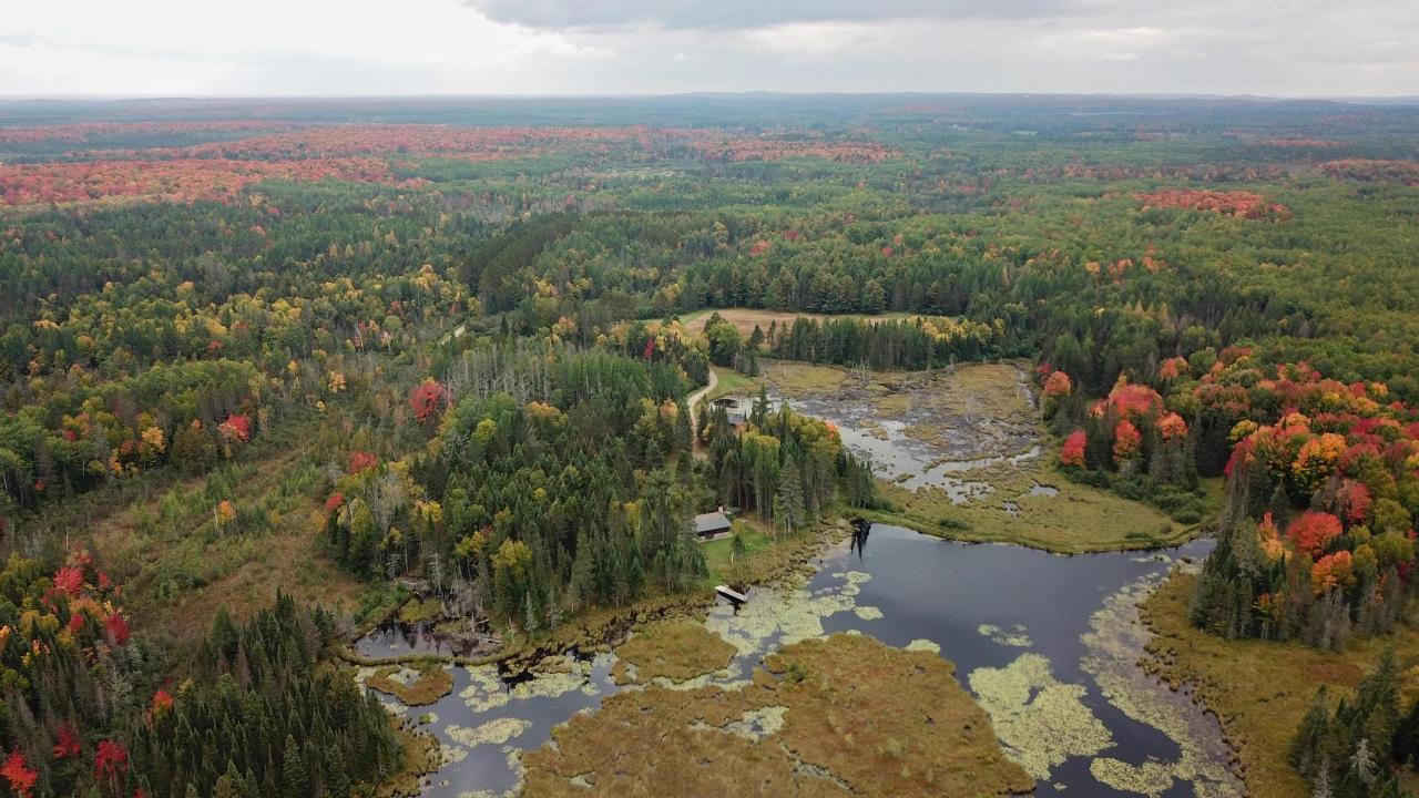 Undocumented Lake Property 9115 Cardinal Ln Photo 26