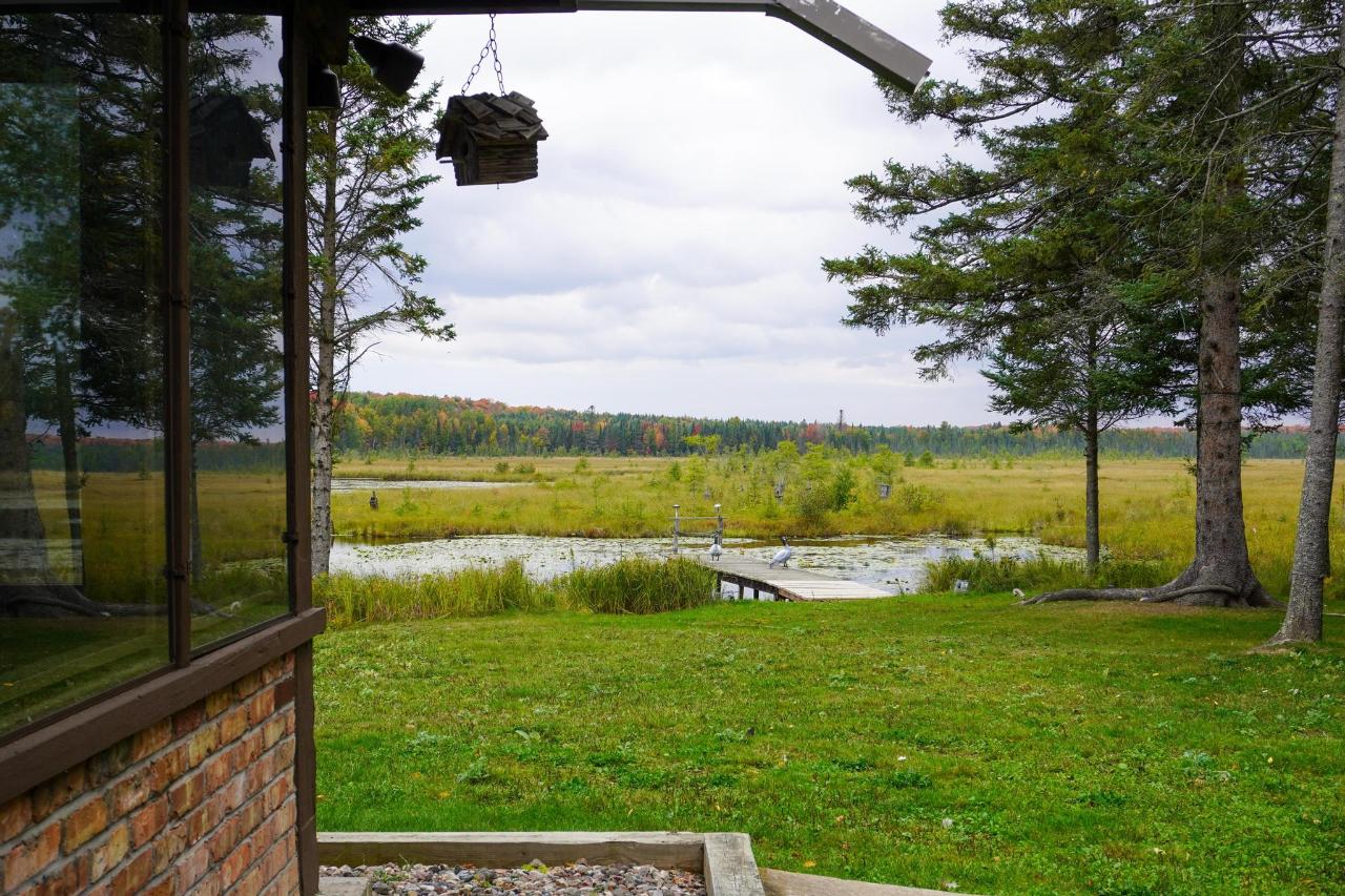 Undocumented Lake Property 9115 Cardinal Ln Photo 27