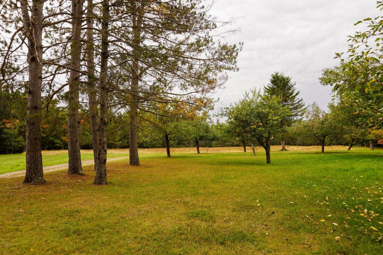 Undocumented Lake Property 9115 Cardinal Ln Photo 29