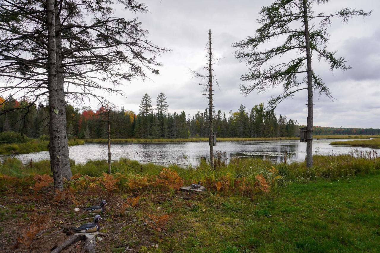 Undocumented Lake Property 9115 Cardinal Ln Photo 31