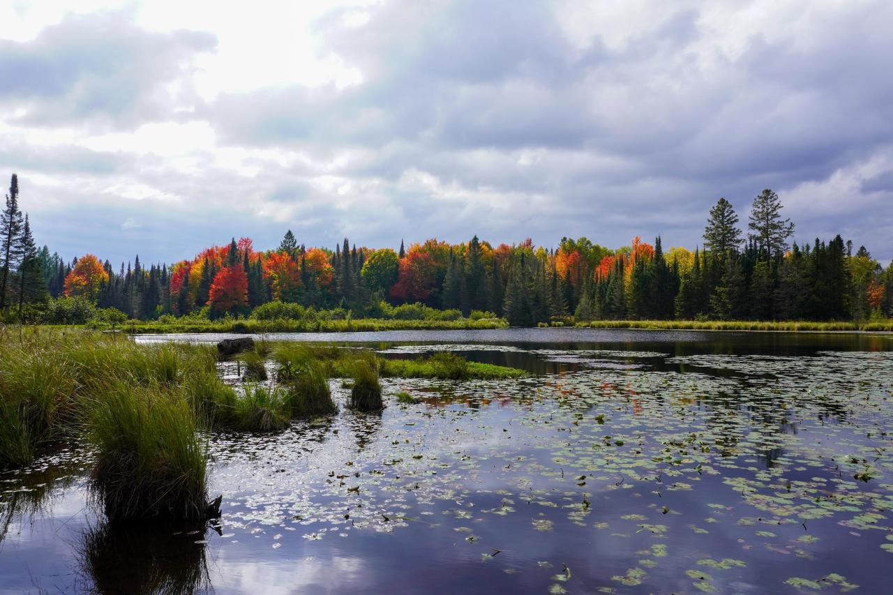 Undocumented Lake Property 9115 Cardinal Ln Photo 32