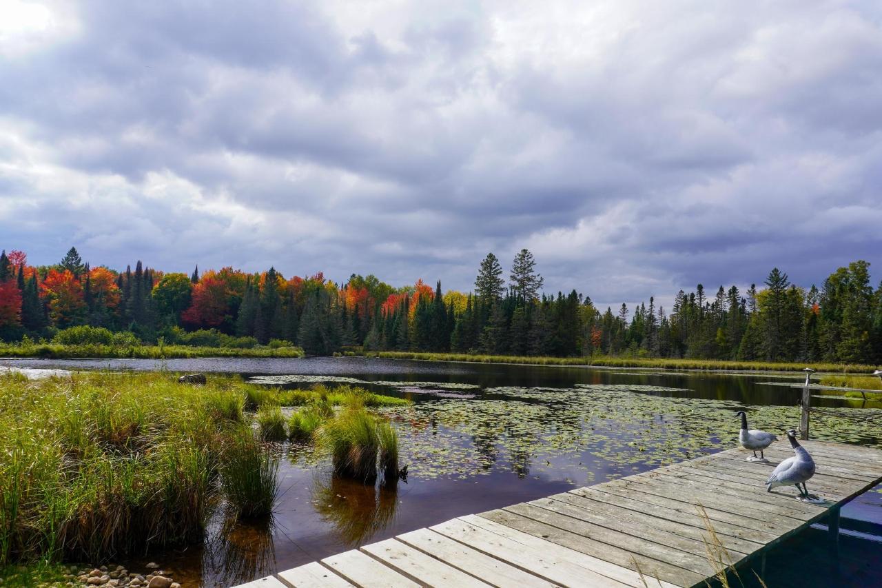 Undocumented Lake Property 9115 Cardinal Ln Photo 33