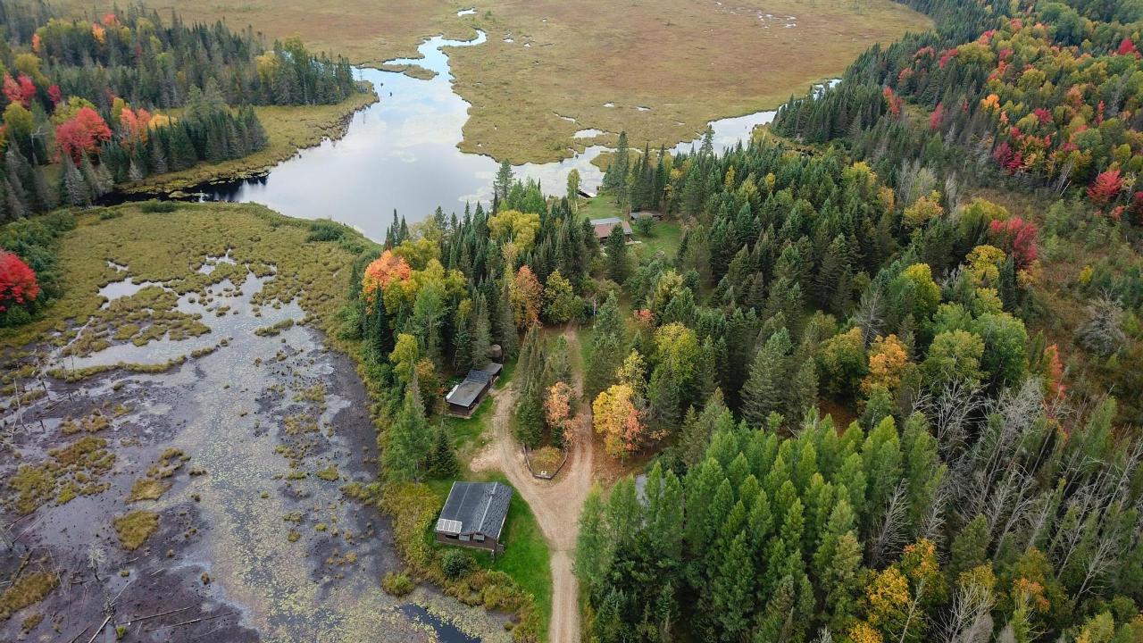 Undocumented Lake Property 9115 Cardinal Ln Photo 43
