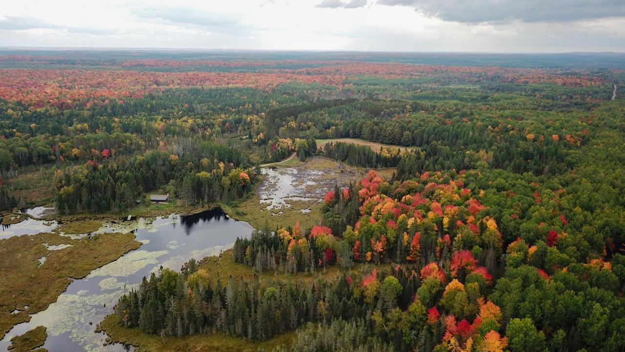 Undocumented Lake Property 9115 Cardinal Ln Photo 5