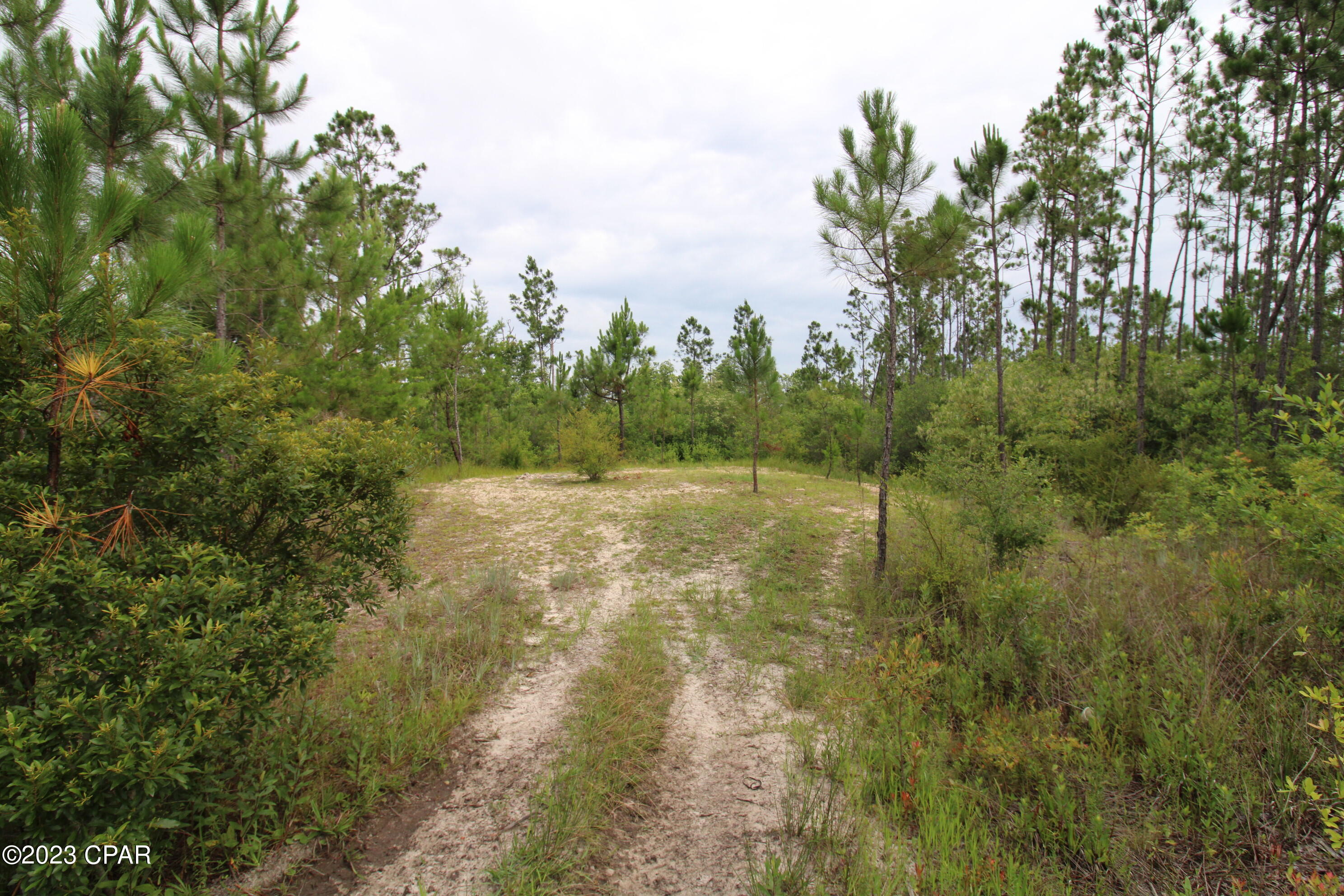 7131 Troy Road, Youngstown, Florida image 1