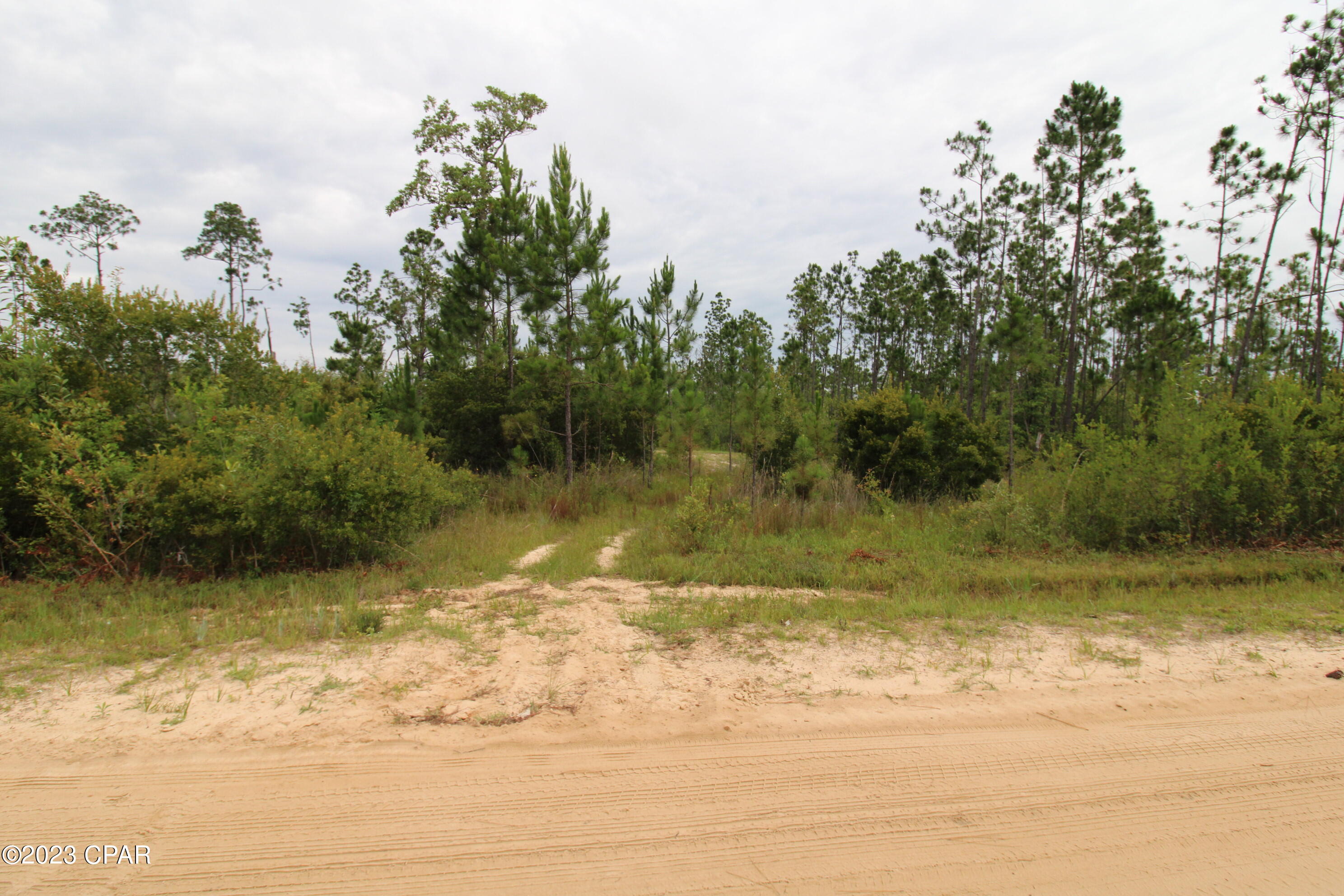 7131 Troy Road, Youngstown, Florida image 2
