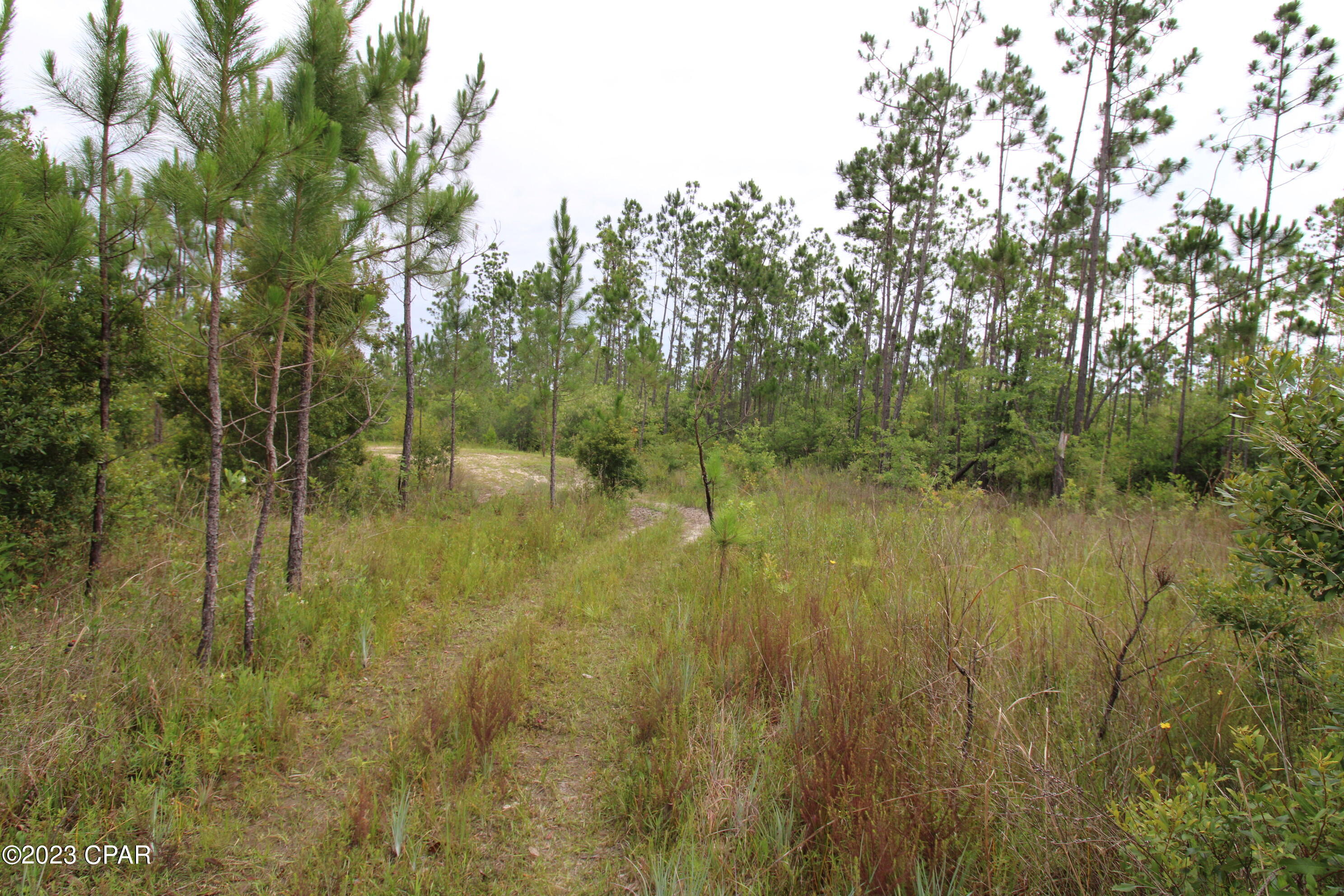 7131 Troy Road, Youngstown, Florida image 4