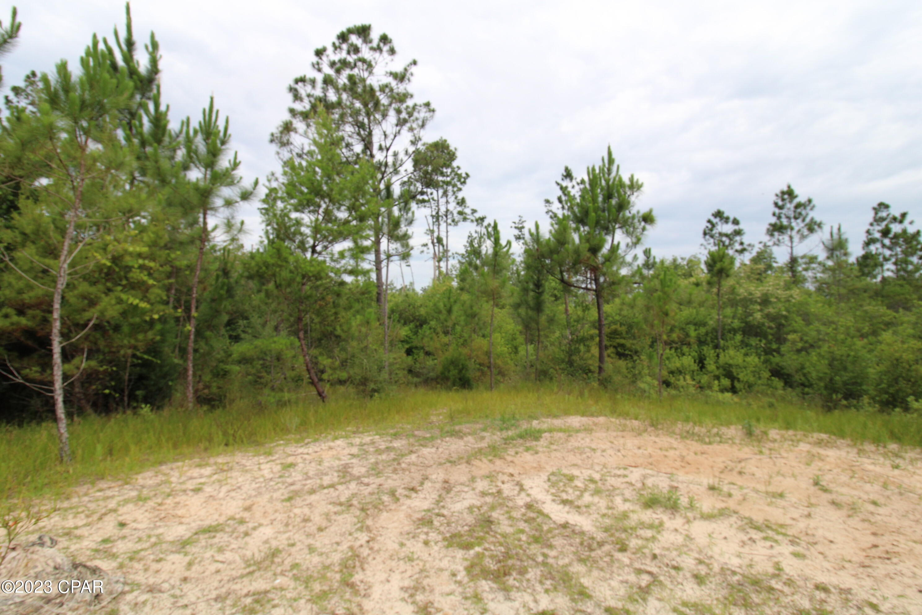 7131 Troy Road, Youngstown, Florida image 5