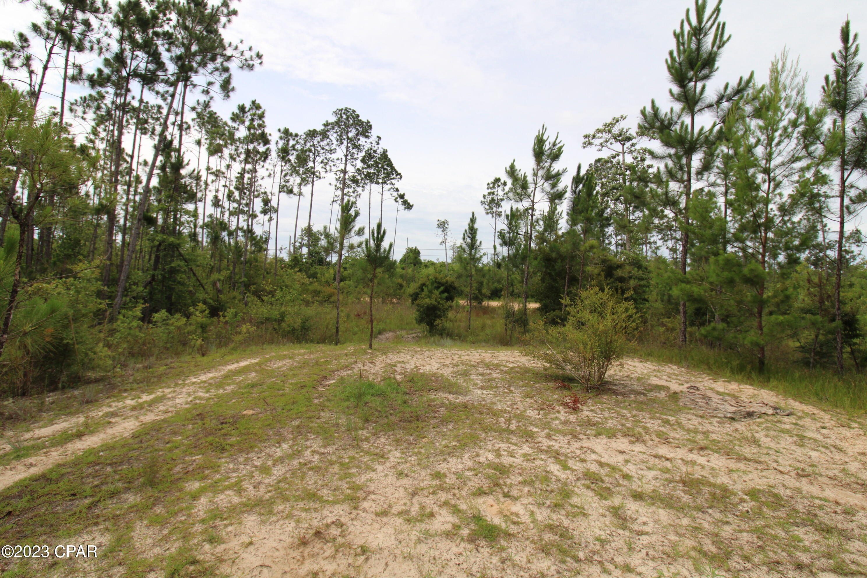 7131 Troy Road, Youngstown, Florida image 6
