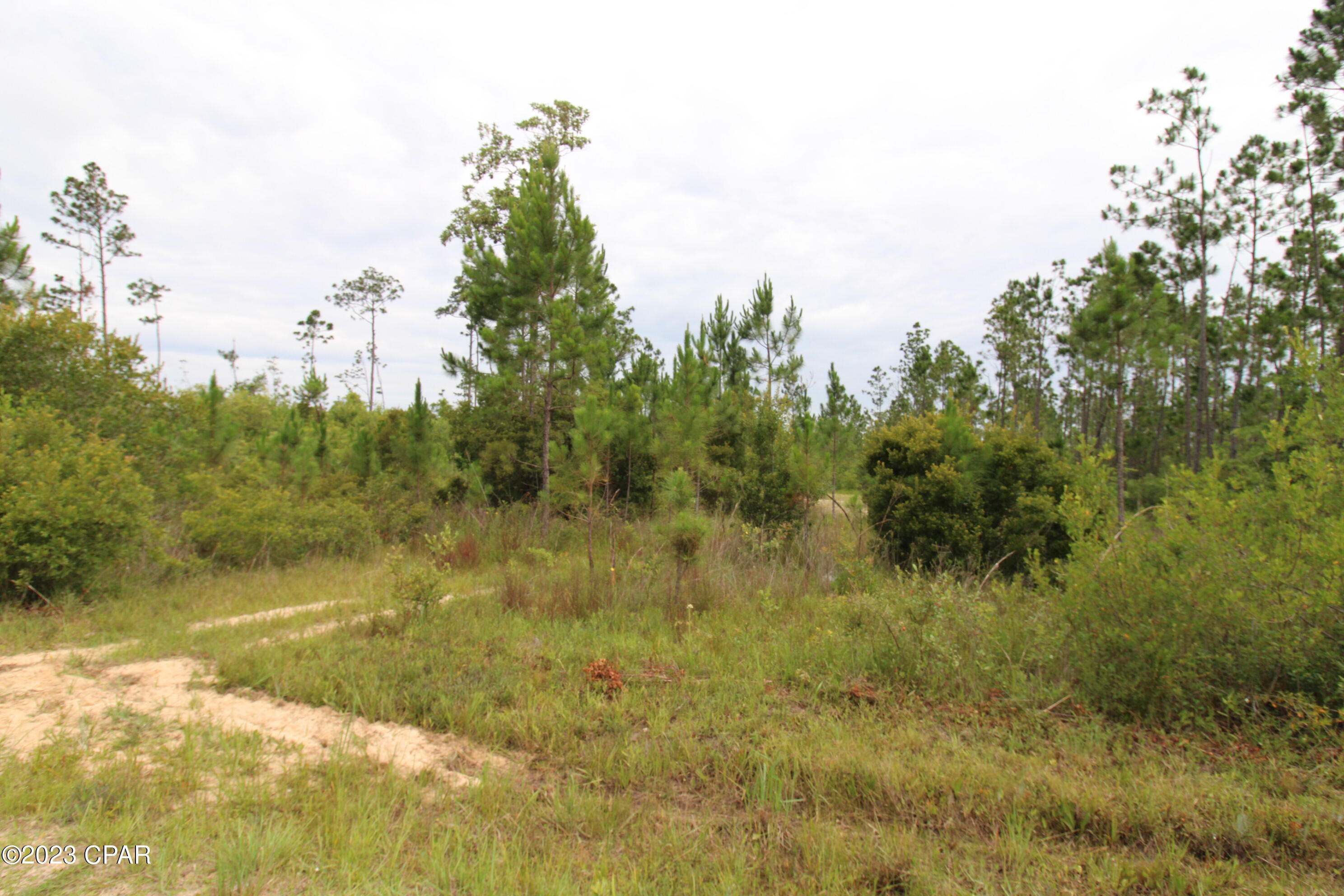 7131 Troy Road, Youngstown, Florida image 7