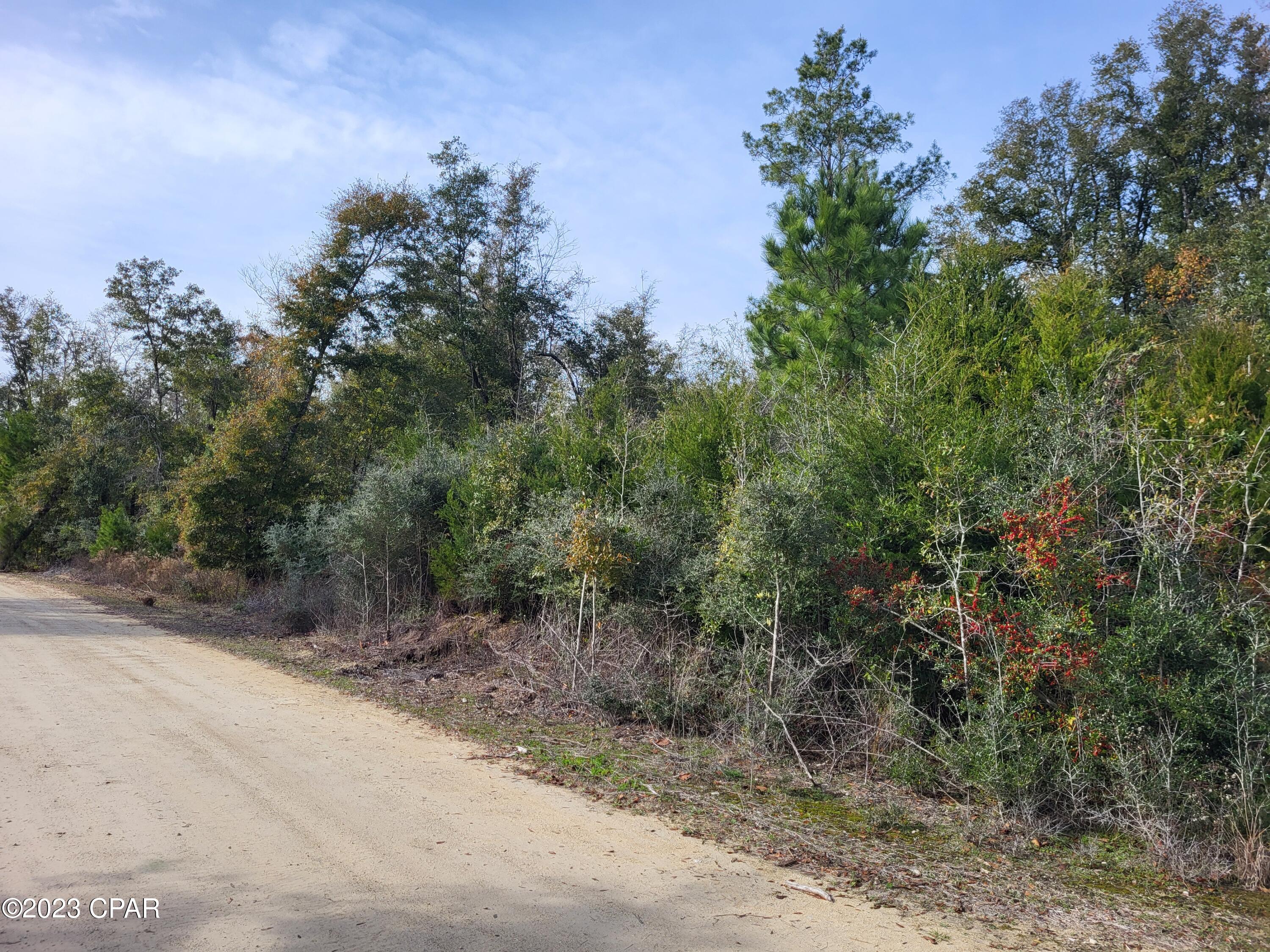 Image 18 For 00 Tommy Tucker Road Lot 1