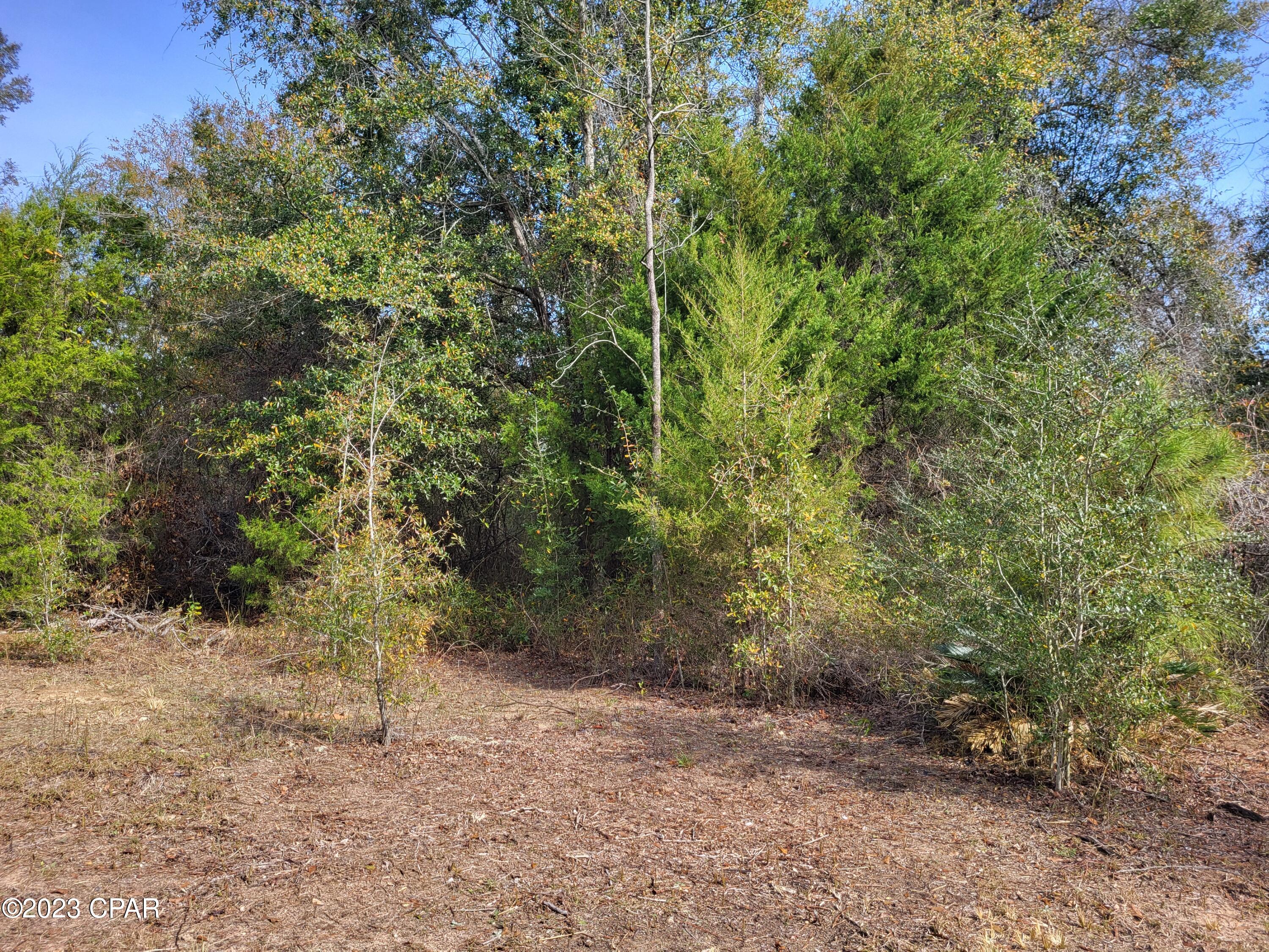 Image 24 For 00 Tommy Tucker Road Lot 1