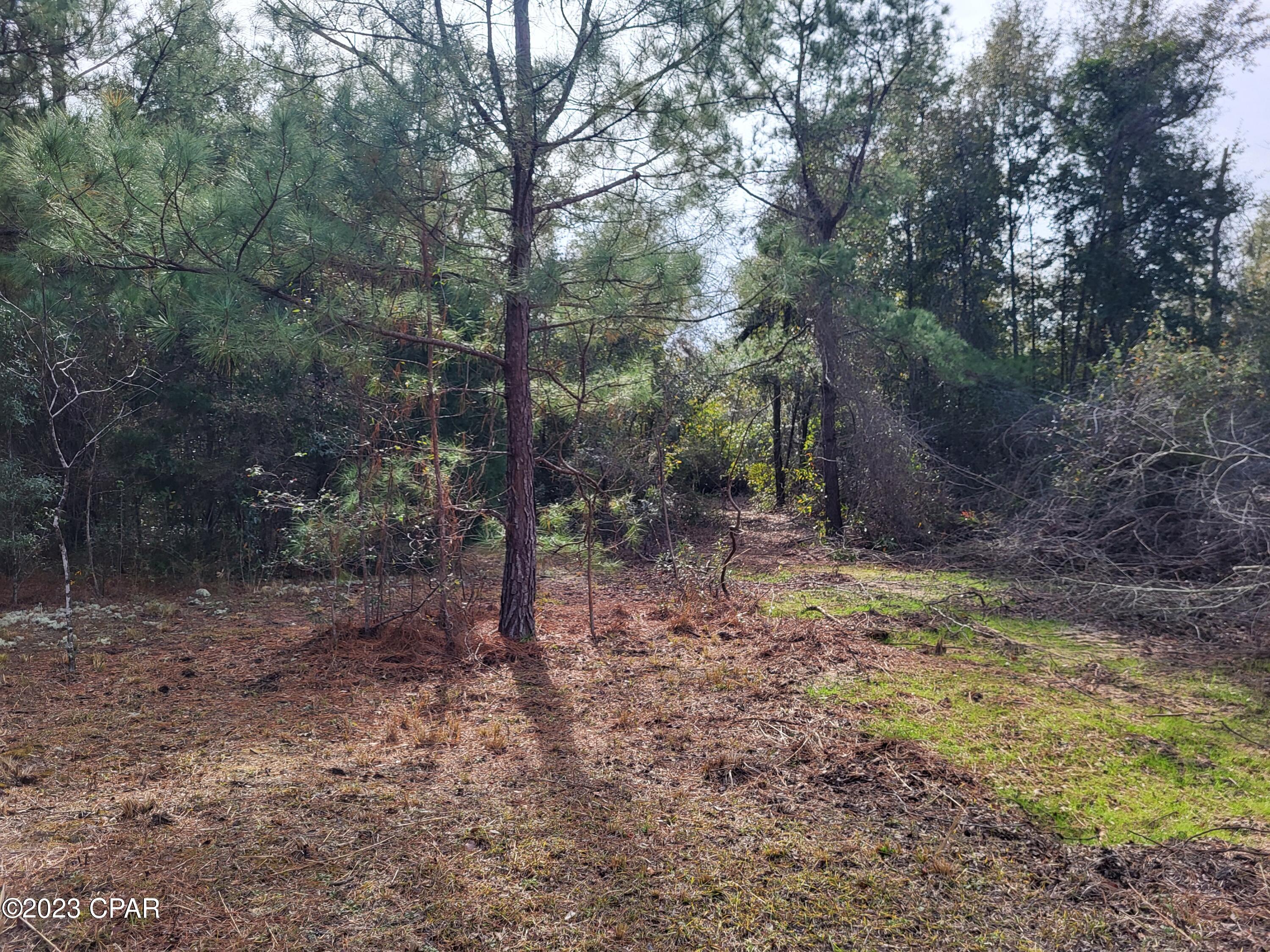 Image 26 For 00 Tommy Tucker Road Lot 1