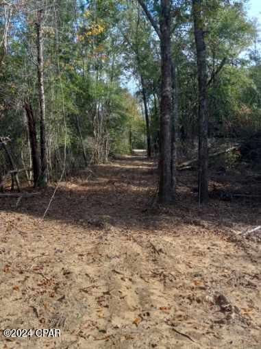 Image 22 For 00 Tommy Tucker Road Lot 2