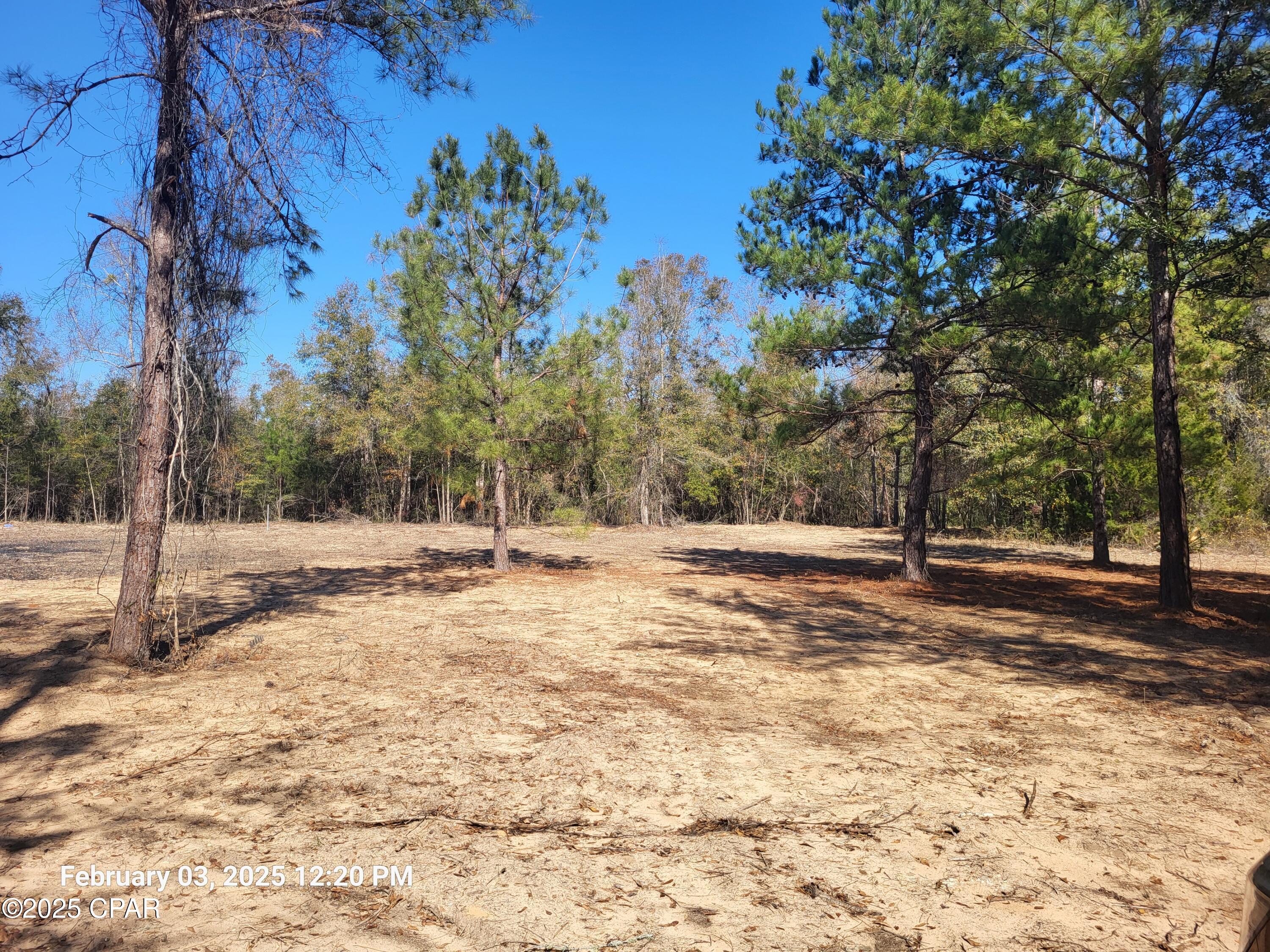 Image 6 For 00 Tommy Tucker Road Lot 3