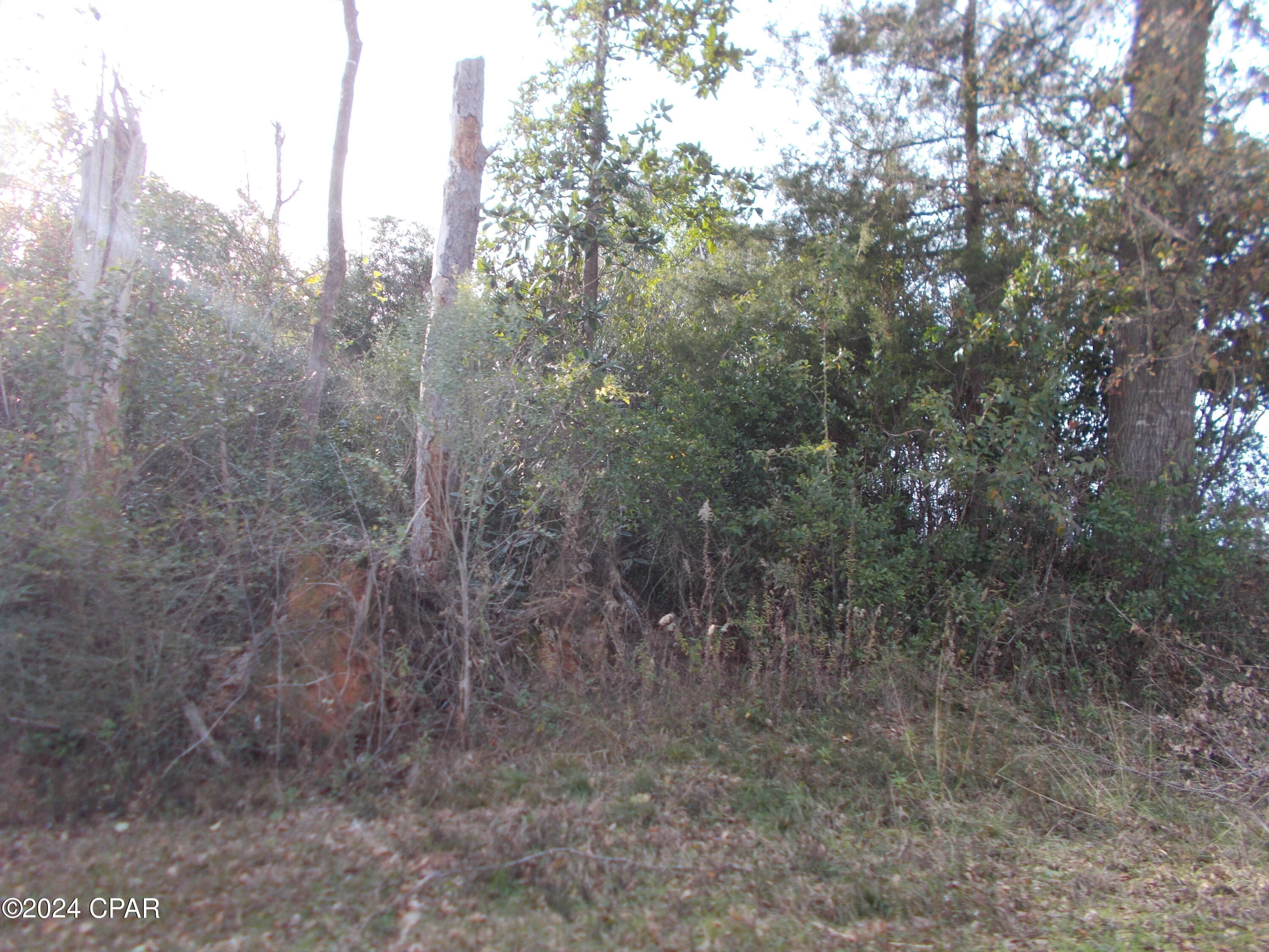 Image 4 For 00 River Road