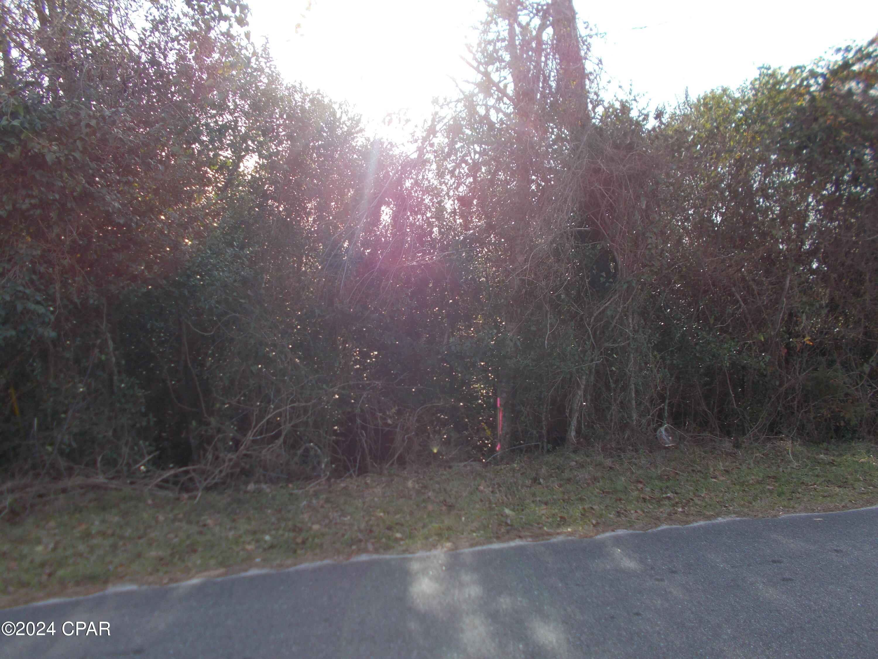 Image 6 For 00 River Road