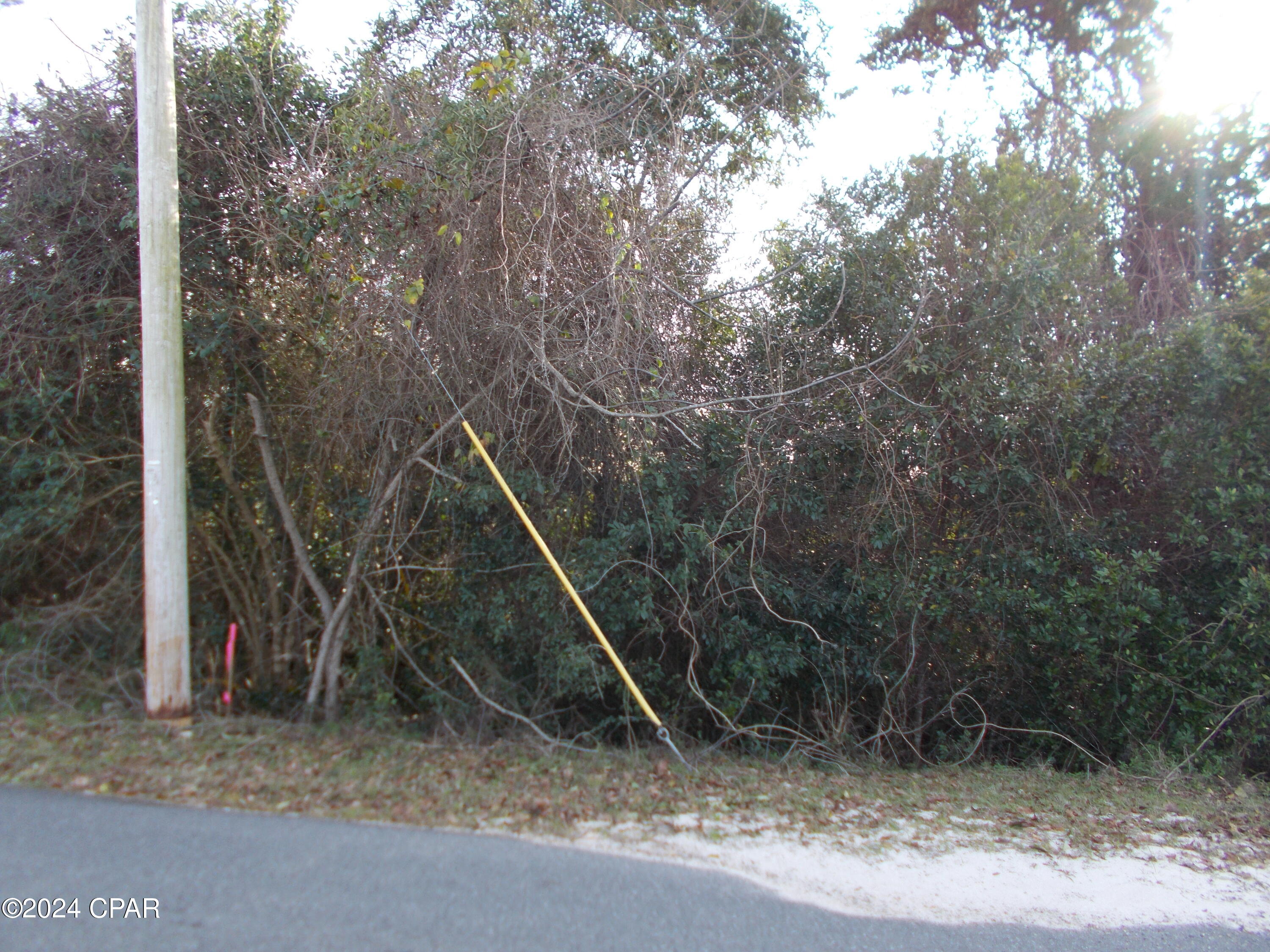 Image 7 For 00 River Road