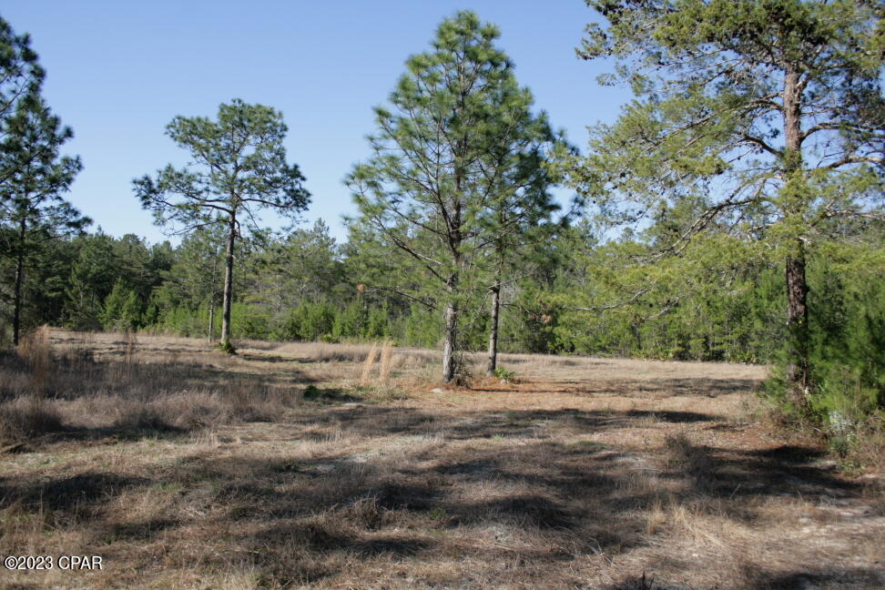Image 29 For 19732 Timbercrest Road
