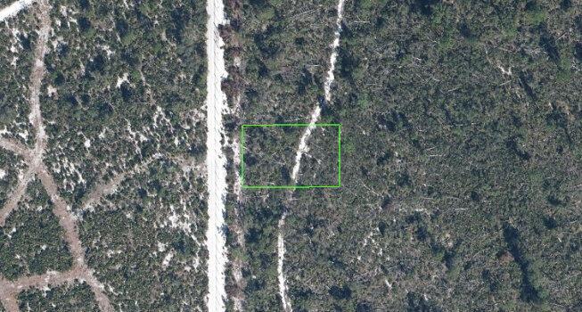 Orange Blossom CCC Unit 1