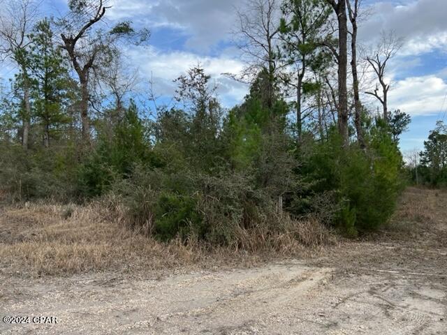 Image 3 For 11630 County Line Road
