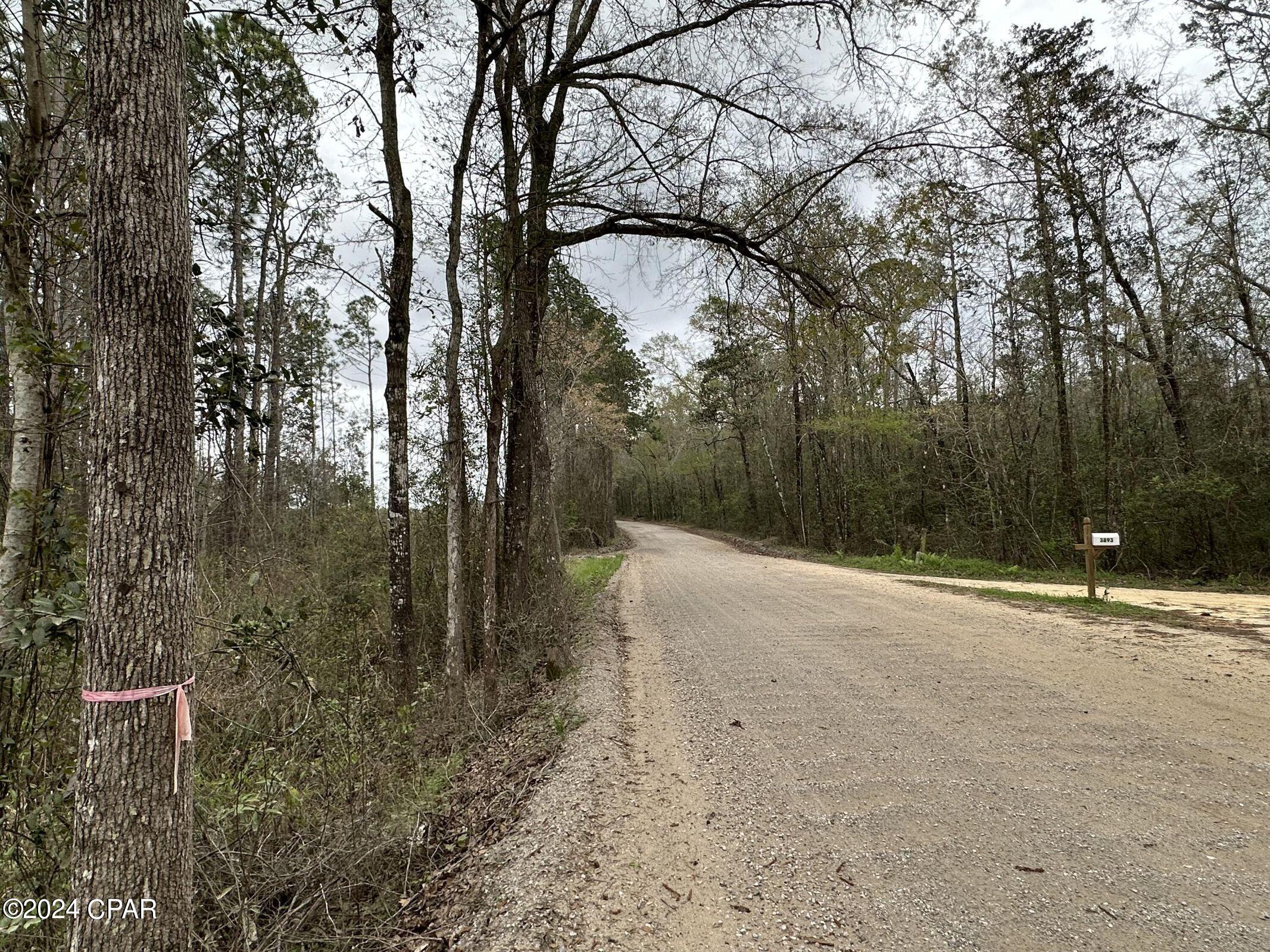 Image 4 For Tract 6336 Sand Path Road