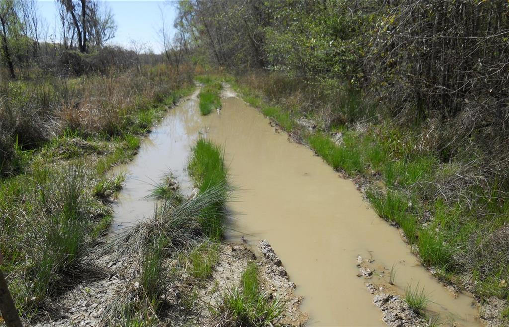 Homes for sale in Pearl River, LA | 39390 Honey Island Swamp Rd, Pearl River, LA 70452 | MLS# 2435131