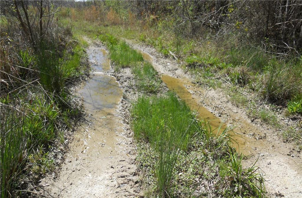 Homes for sale in Pearl River, LA | 39390 Honey Island Swamp Rd, Pearl River, LA 70452 | MLS# 2435131