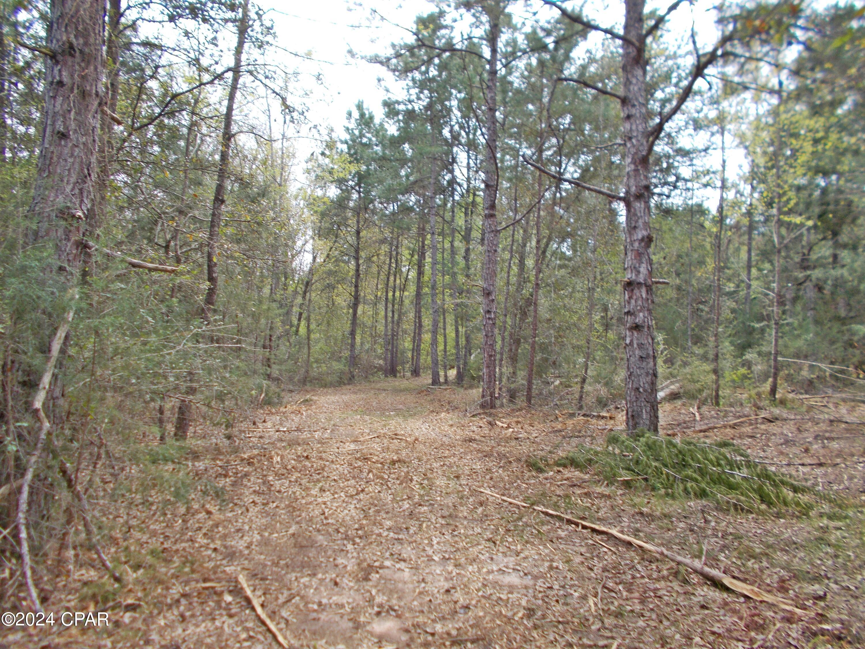Image 14 For 0 Sheffield Drive