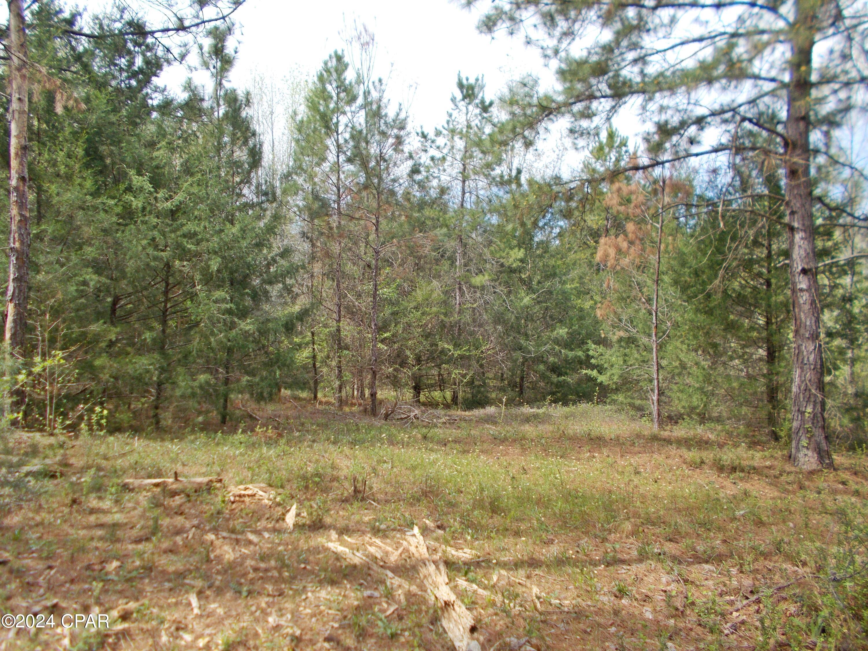 Image 18 For 0 Sheffield Drive