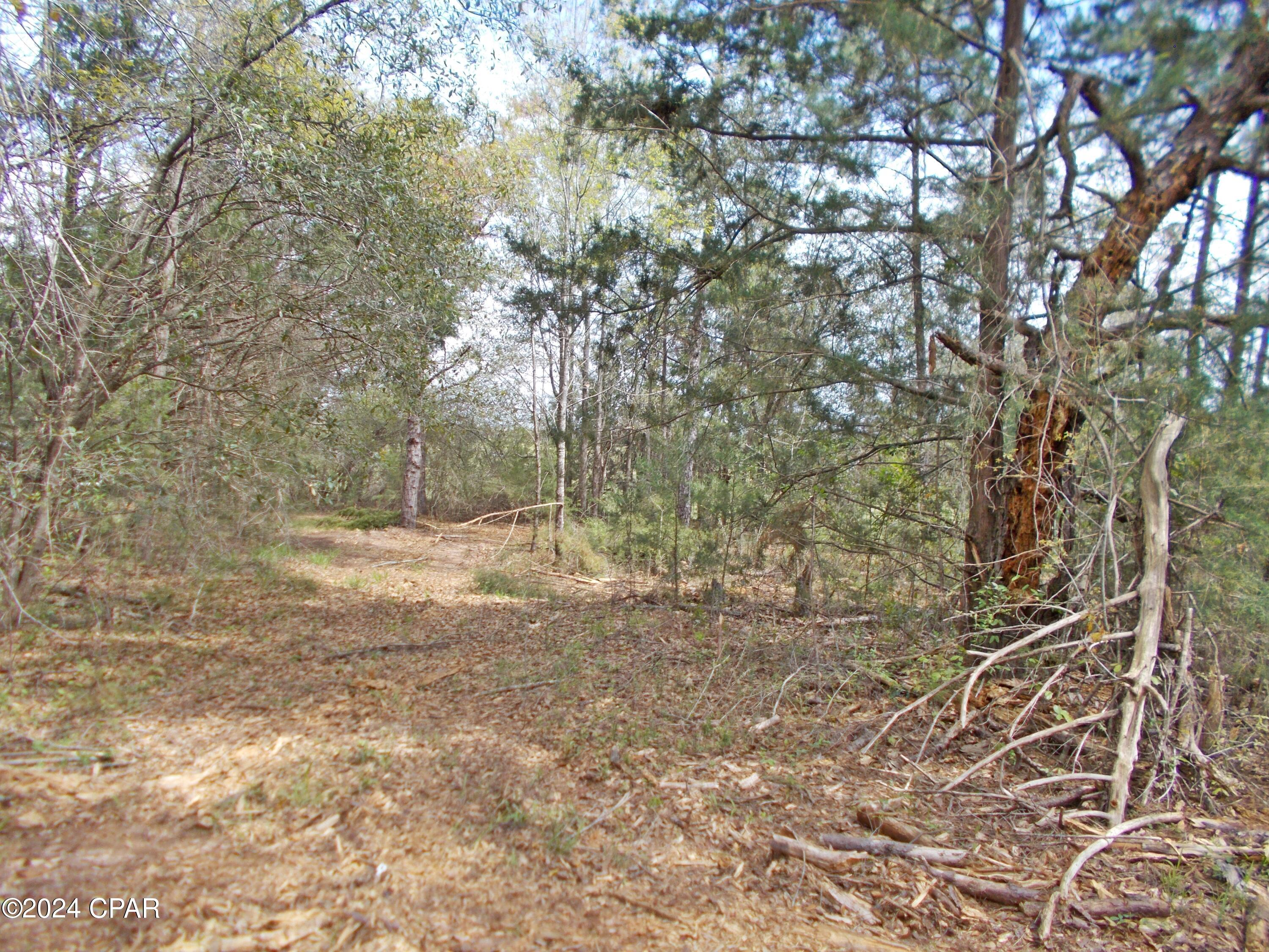 Image 19 For 0 Sheffield Drive
