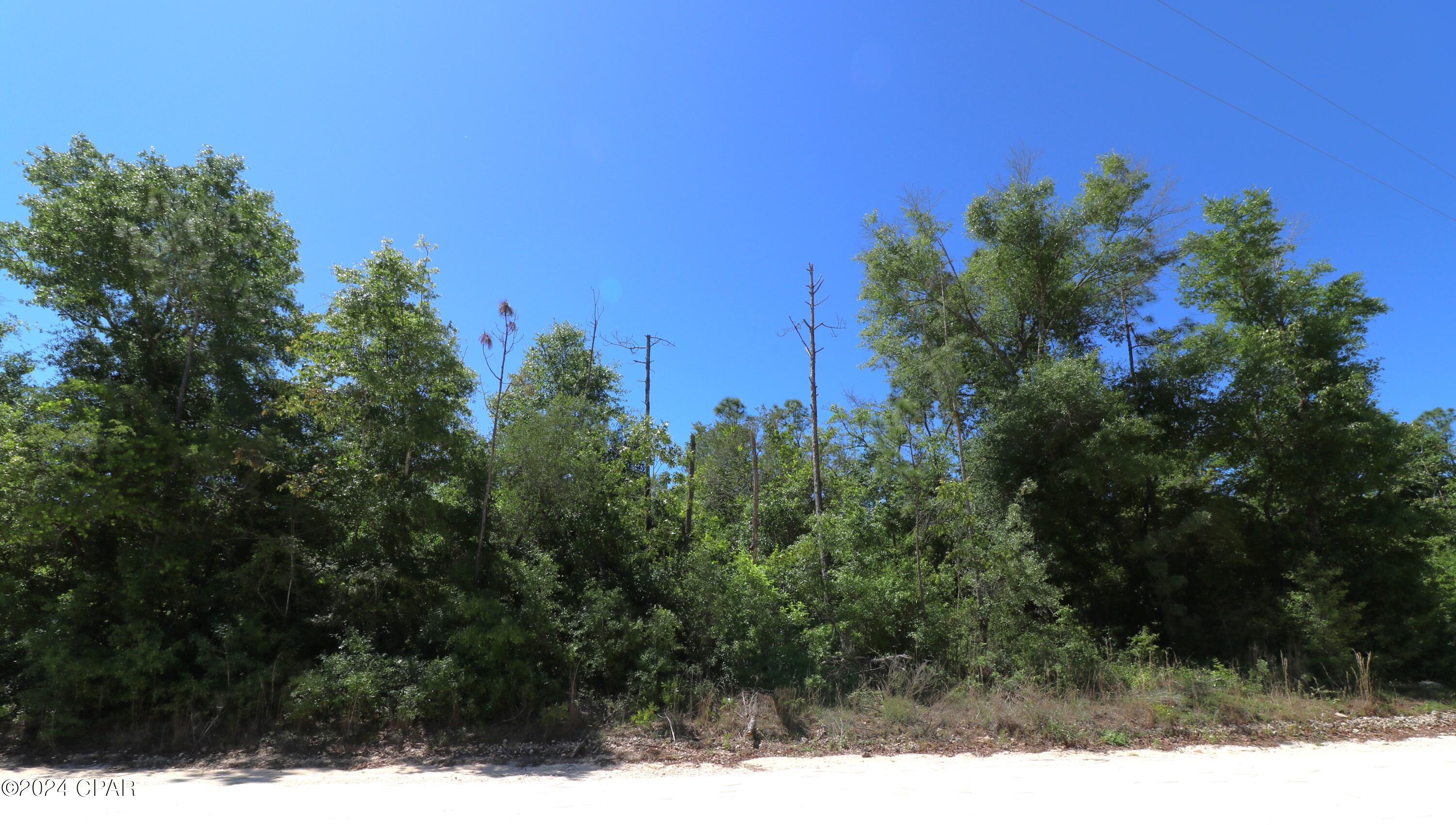 Image 4 For Lot 16 Seminole Lane