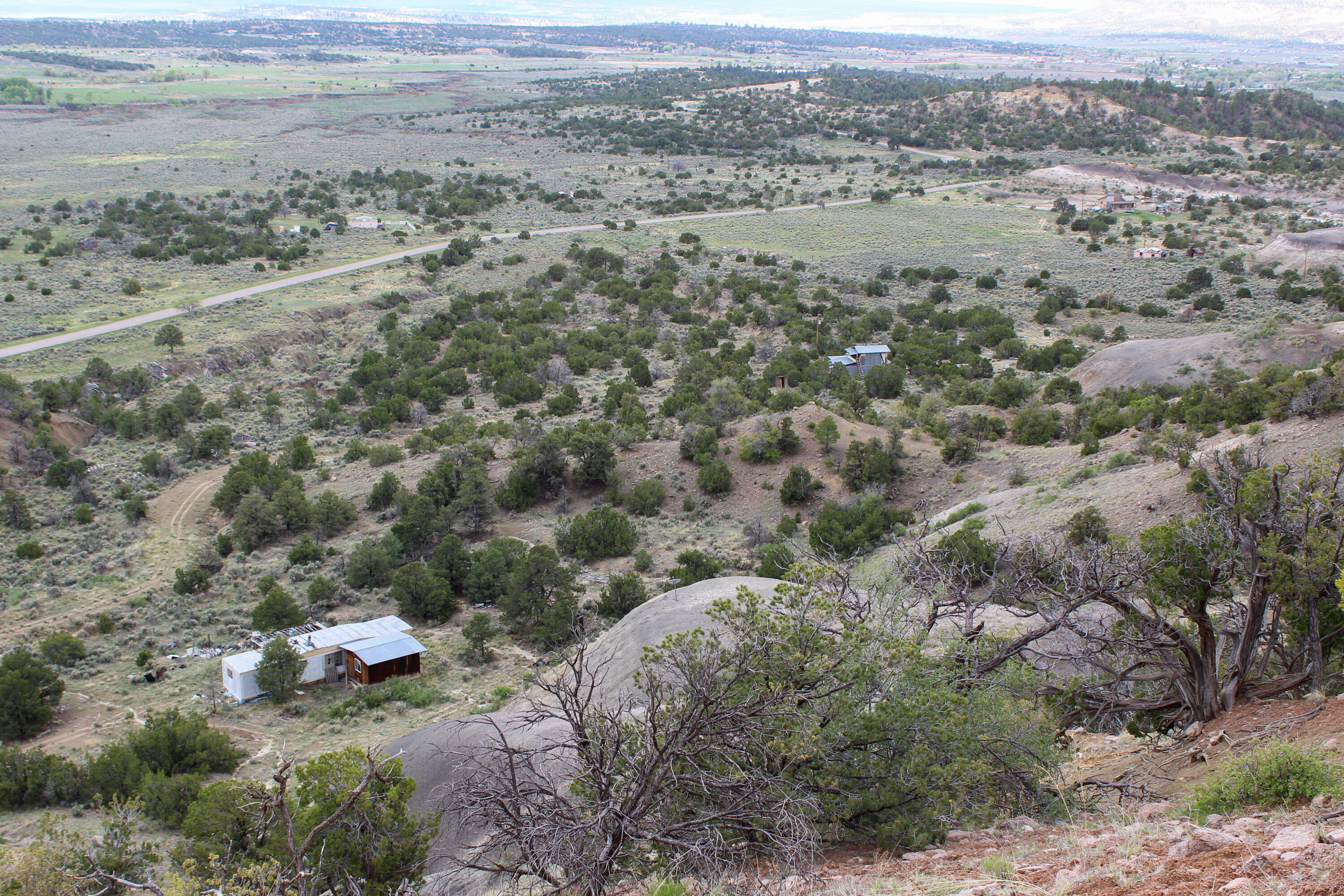 Homes for sale in Cuba, NM | Tbd 200 Vallecitos Road Road, Cuba, NM 87013 | MLS# 1063094