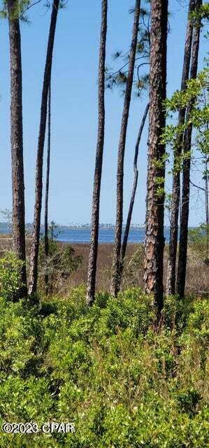 Image 3 For 911 Flagler Drive