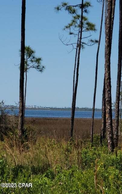 Image 7 For 911 Flagler Drive