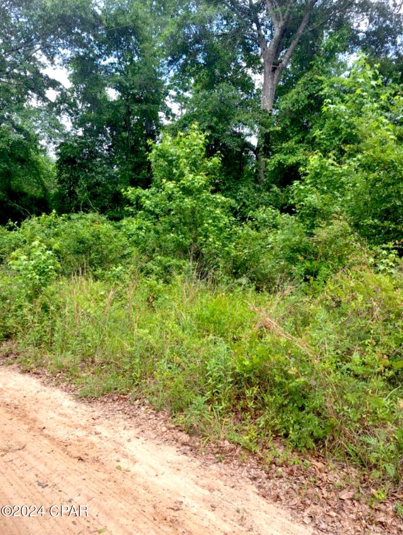Image 10 For Tbd Early Lane