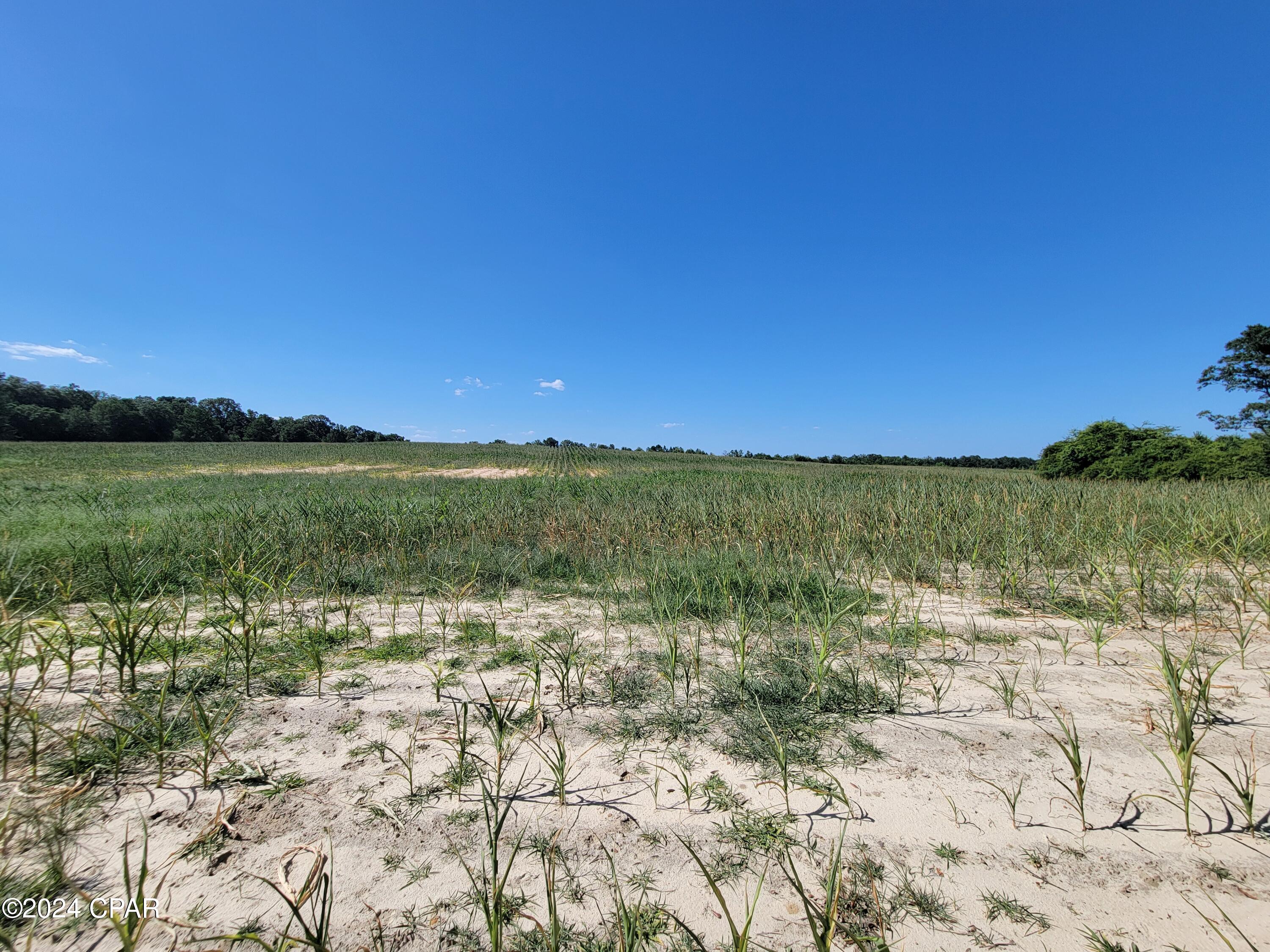 Image 4 For Lot 4 Bradley Road