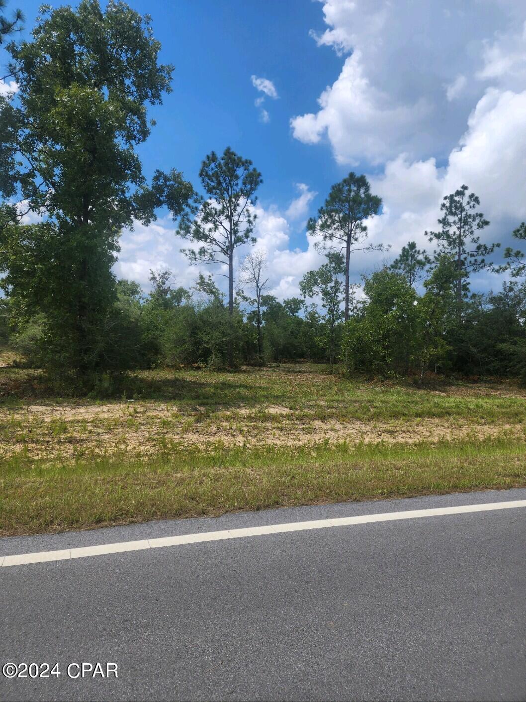 Image 4 For Lot 6 Buckhorn Boulevard